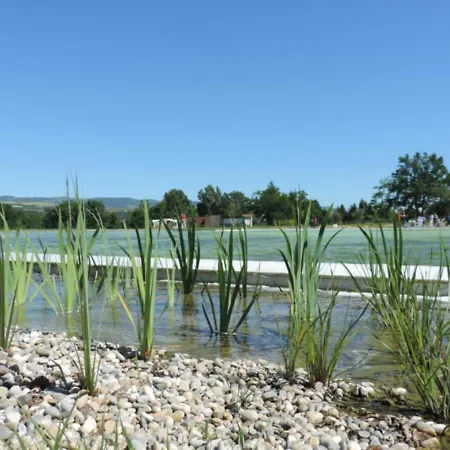 à Lorette Avec Jardin Et Jeux Pour Enfants - Fr-1-496-76 Appartamento *